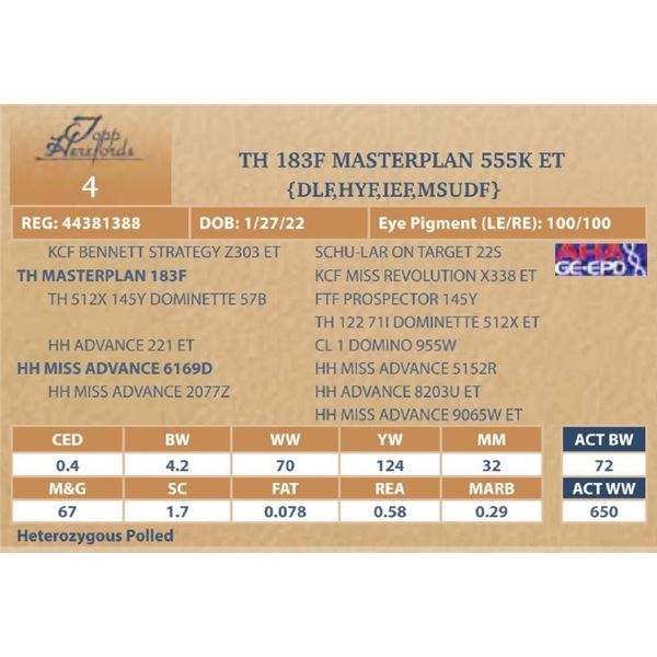 TH 183F MASTERPLAN 555K ET