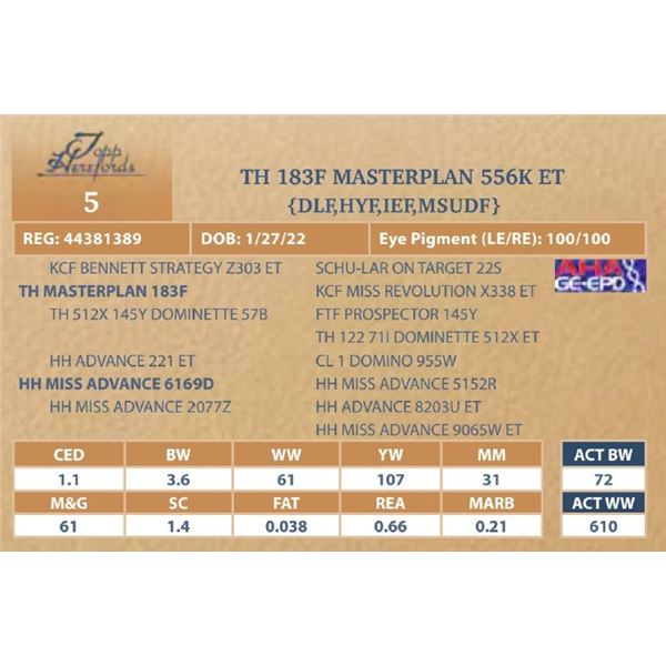 TH 183F MASTERPLAN 556K ET