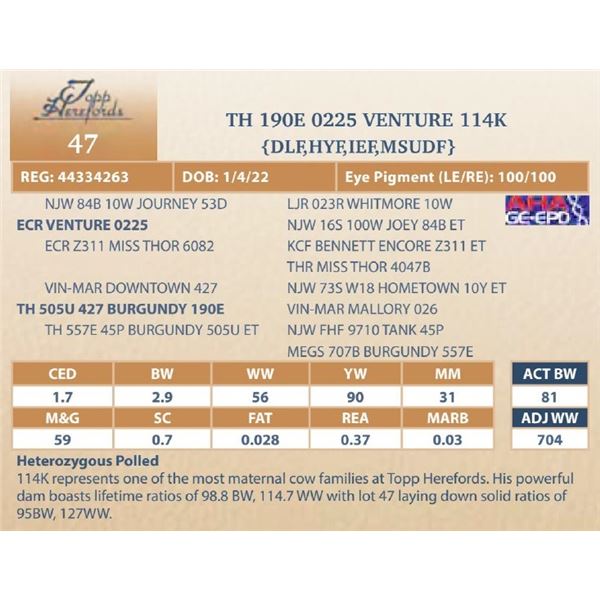 TH 190E 0225 VENTURE 114K