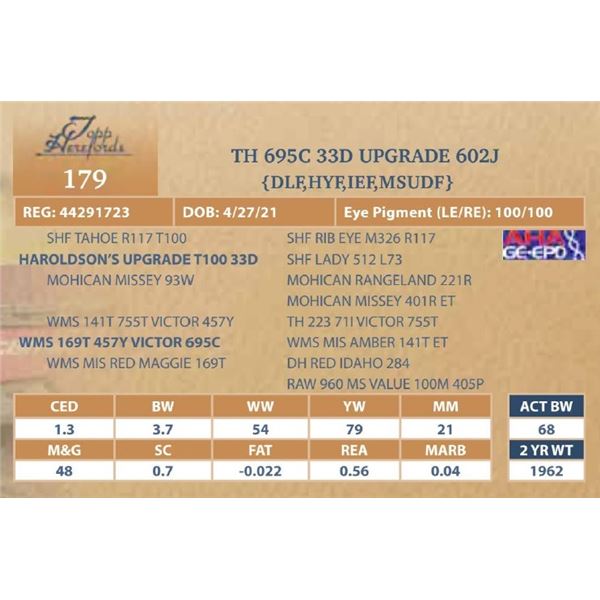 TH 695C 33D UPGRADE 602J