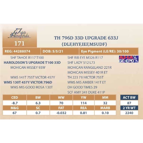 TH 796D 33D UPGRADE 633J