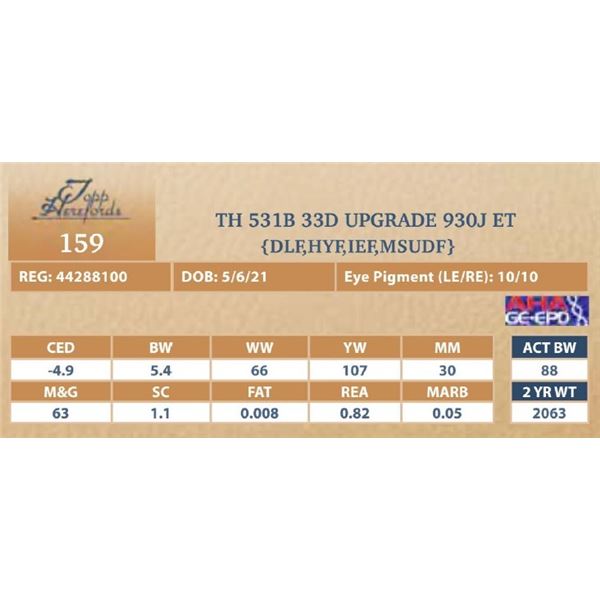 TH 531B 33D UPGRADE 930J ET