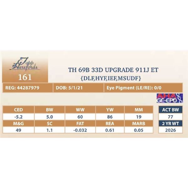 TH 69B 33D UPGRADE 911J ET