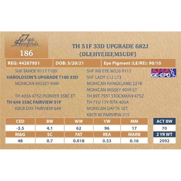 TH 51F 33D UPGRADE 682J