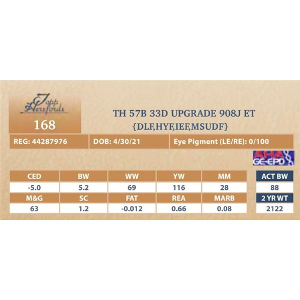 TH 57B 33D UPGRADE 908J ET