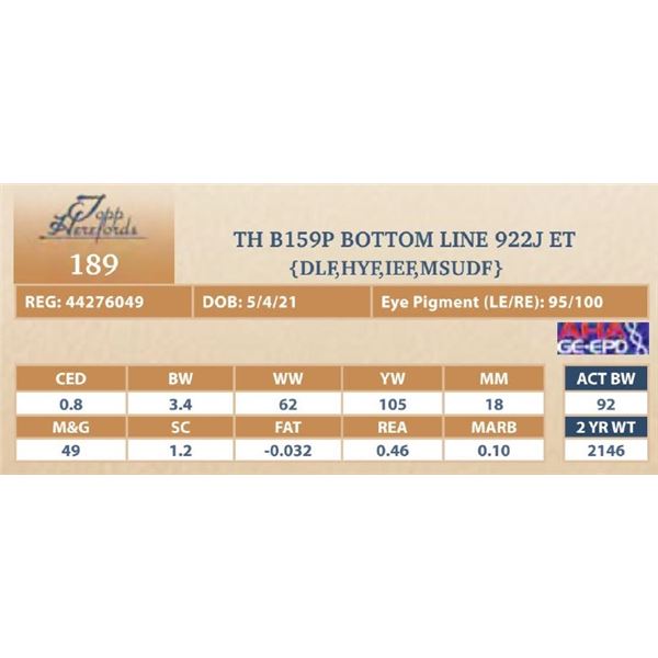 TH B159P BOTTOM LINE 922J ET