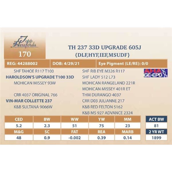 TH 237 33D UPGRADE 605J