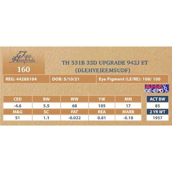 TH 531B 33D UPGRADE 942J ET