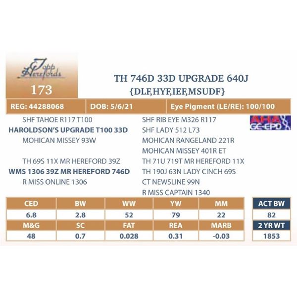 TH 746D 33D UPGRADE 640J - NO VIDEO