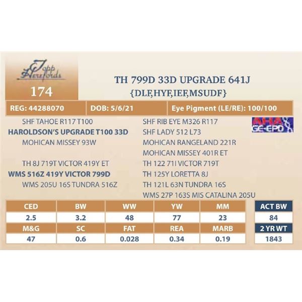 TH 799D 33D UPGRADE 641J