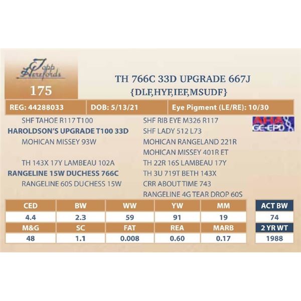 TH 766C 33D UPGRADE 667J