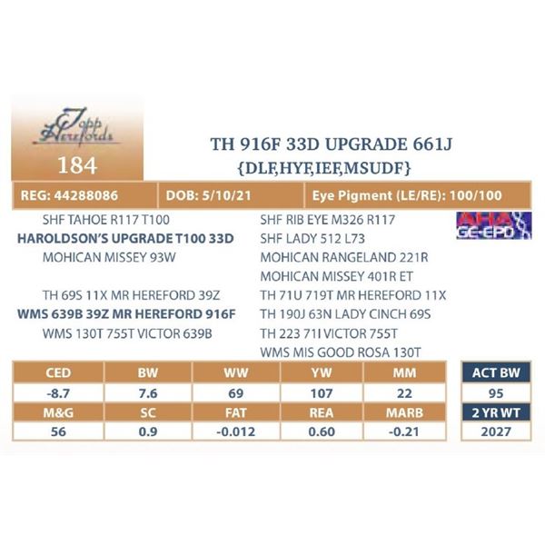 TH 916F 33D UPGRADE 661J