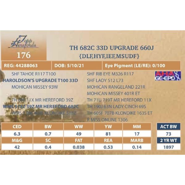 TH 682C 33D UPGRADE 660J