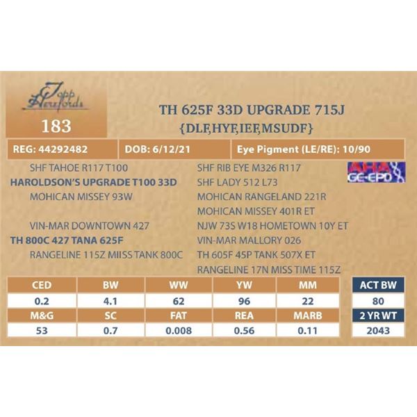 TH 325F 33D UPGRADE 715J