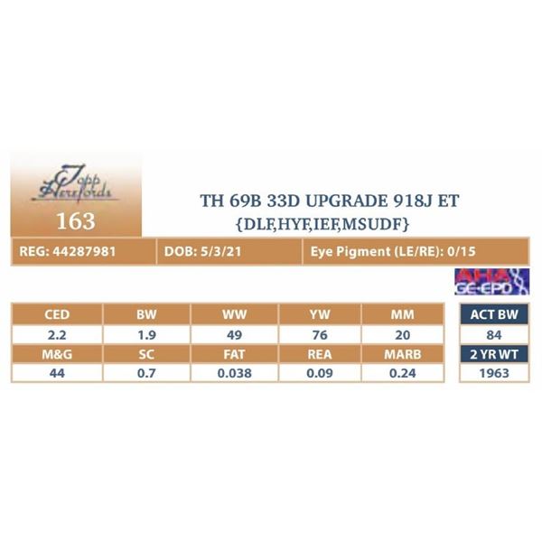 TH 69B 33D UPGRADE 918J ET