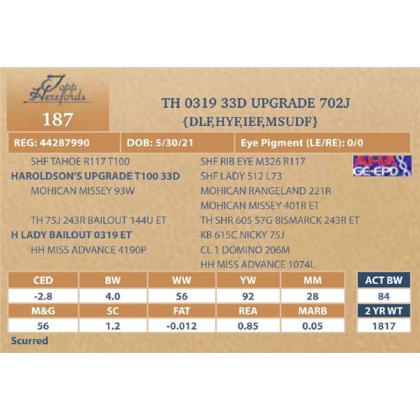 TH 0319 33D UPGRADE 702J