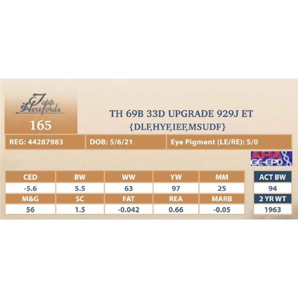 TH 69B 33D UPGRADE 929J ET