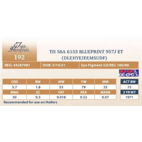 TH 56A 6153 BLUEPRINT 957J ET