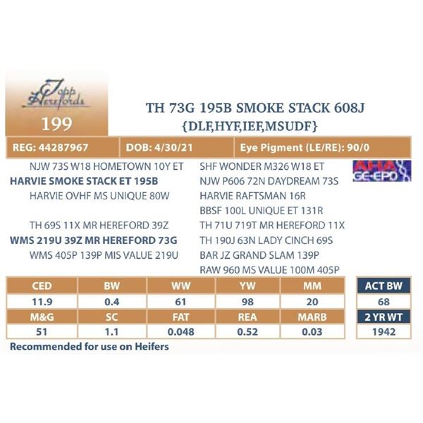 TH 73G 195B SMOKE STACK 608J