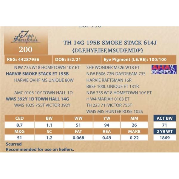 TH 14G 195B SMOKE STACK 614J