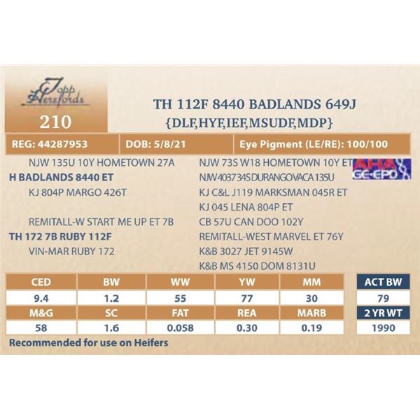 TH 112F 8440 BADLANDS 649J