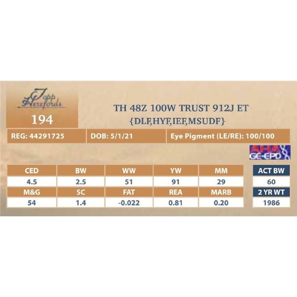 TH 48Z 100W TRUST 912J ET