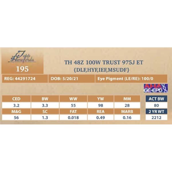 TH 48Z 100W TRUST 975J ET