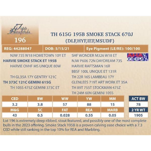 TH 615G 195B SMOKE STACK 670J