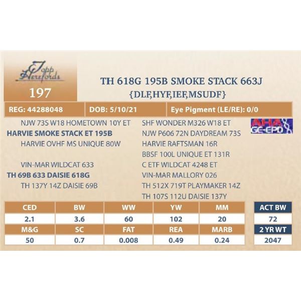 TH 618G 195B SMOKE STACK 663J