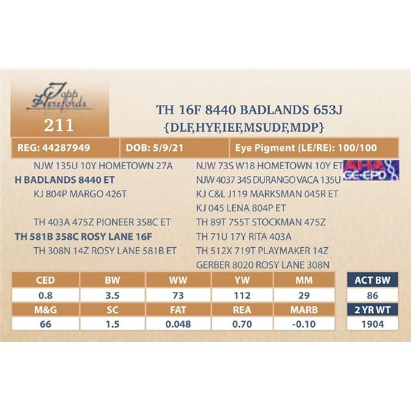 TH 16F 8440 BADLANDS 653J
