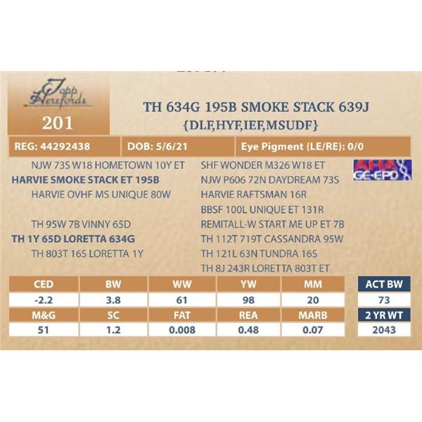 TH 634G 195B SMOKE STACK 639J