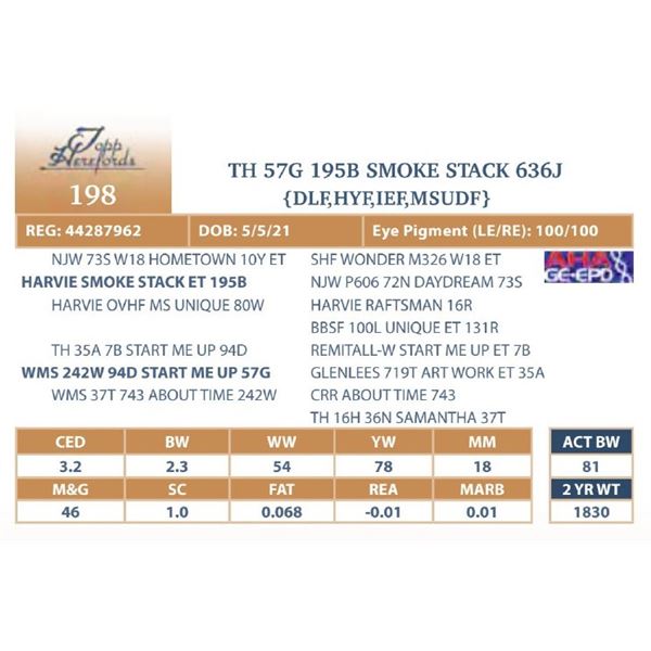 TH 57G 195B SMOKE STACK 636J