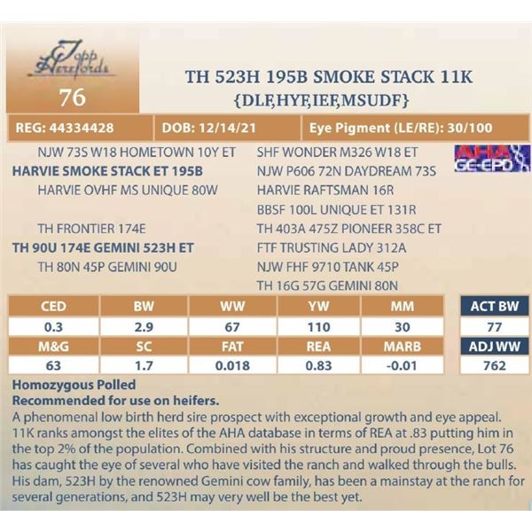 TH 523H 195B SMOKE STACK 11K