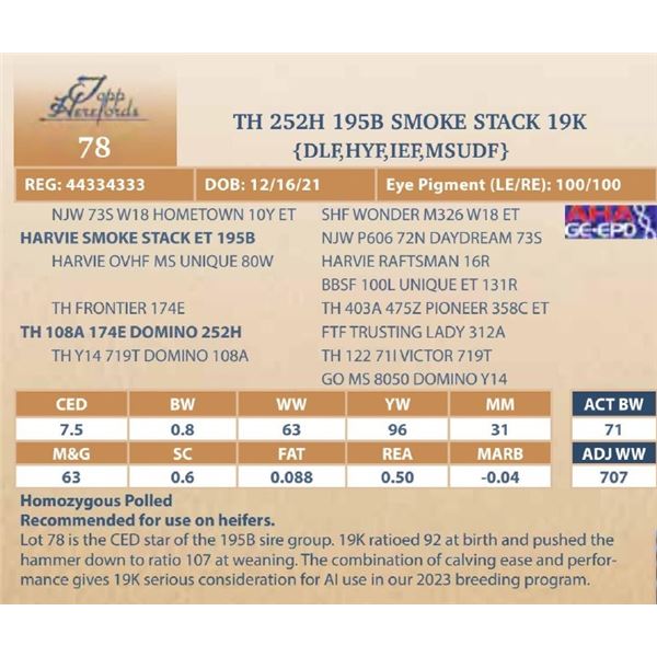 TH 252H 195B SMOKE STACK 19K