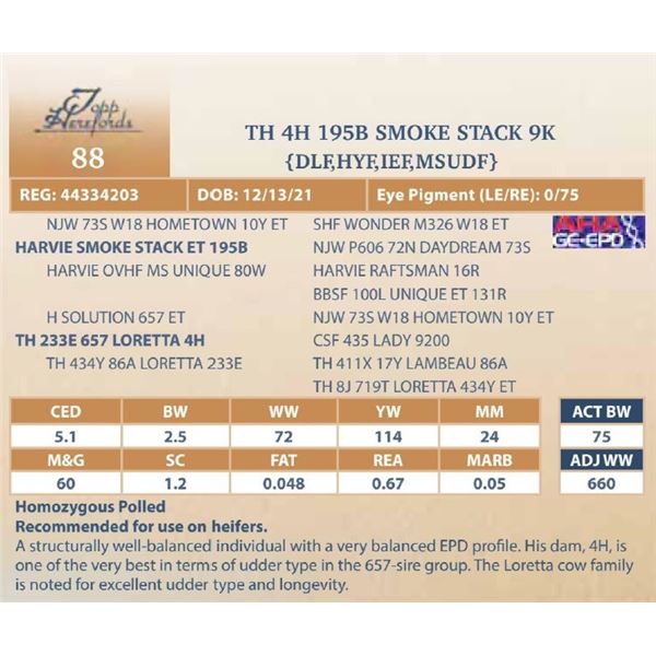 TH 4H 195B SMOKE STACK 9K