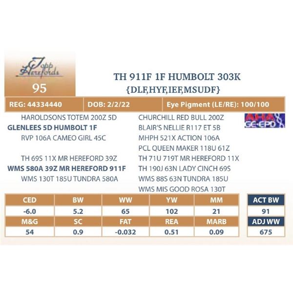 TH 911F 1F HUMBOLT 303K