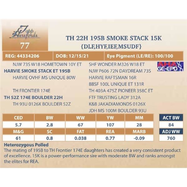 TH 22H 195B SMOKE STACK 15K