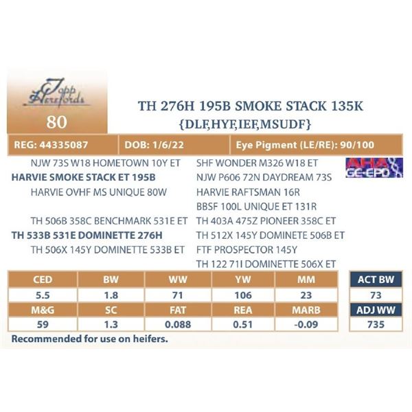 TH 276H 195B SMOKE STACK 135K