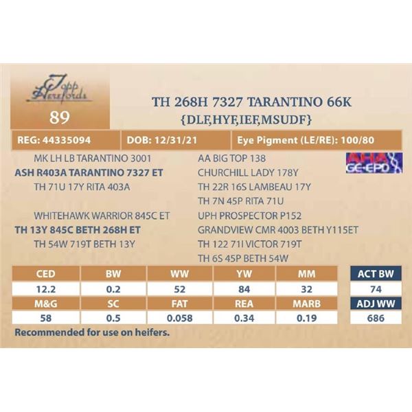 TH 268H 7327 TARANTINO 66K