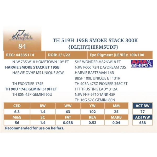 TH 519H 195B SMOKE STACK 300K
