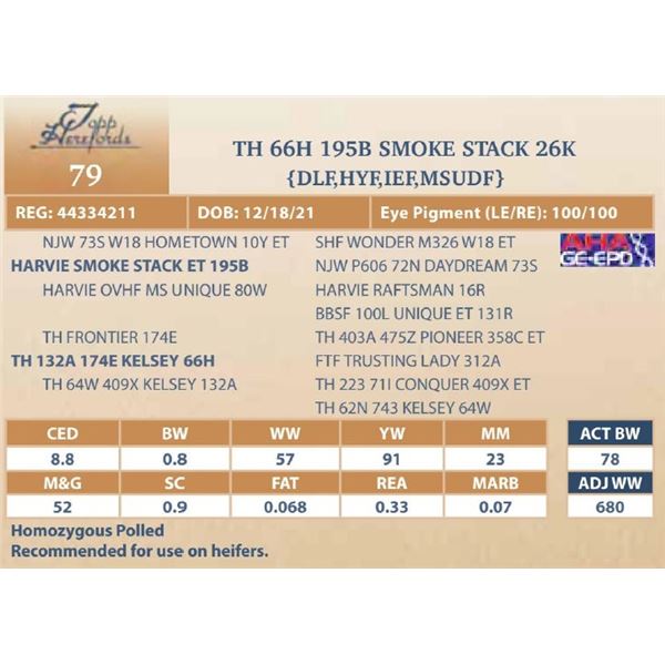 TH 66H 195B SMOKE STACK 26K