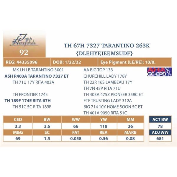 TH 67H 7327 TARANTINO 263K