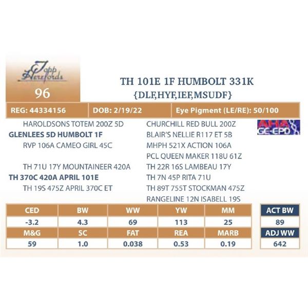 TH 101E 1F HUMBOLT 331K