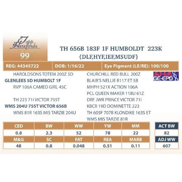 TH 656B 183F MASTERPLAN 223K