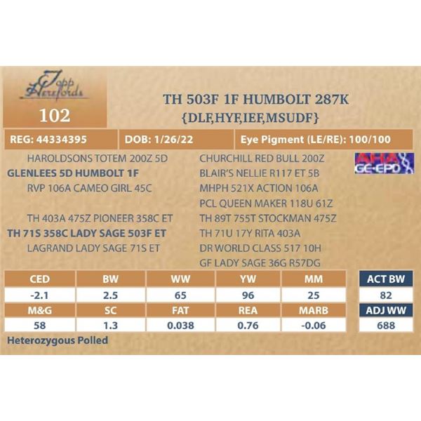 TH 503F 1F HUMBOLT 287K