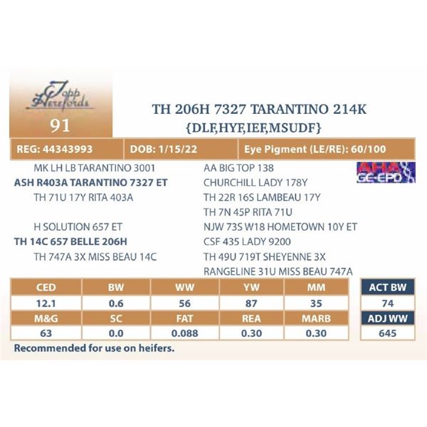 TH 206H 7327 TARANTINO 214K