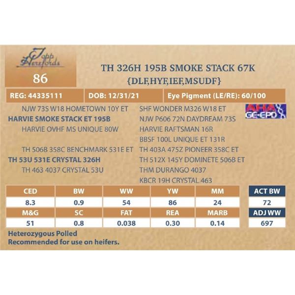 TH 326H 195B SMOKE STACK 67K