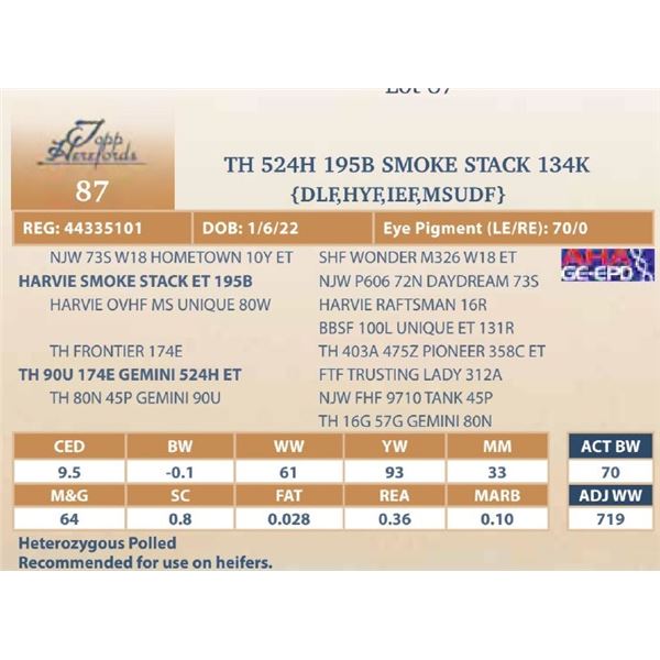 TH 524H 195B SMOKE STACK 134K