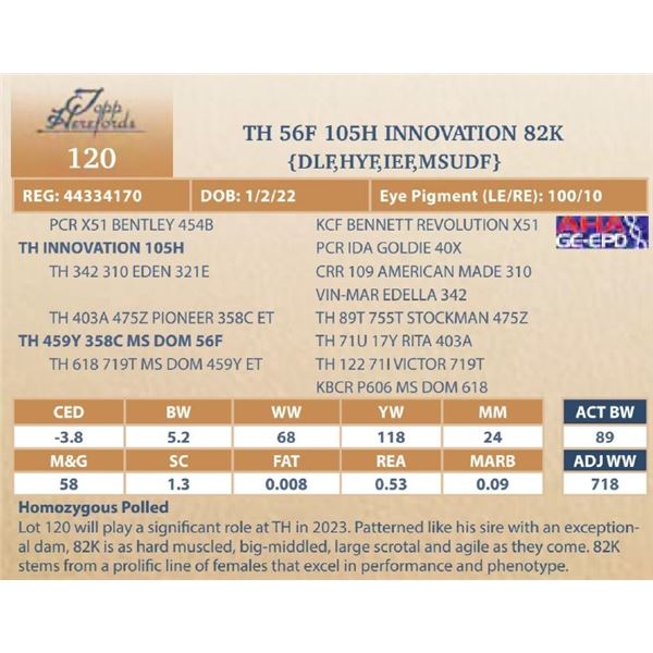 TH 56F 105H INNOVATION 82K