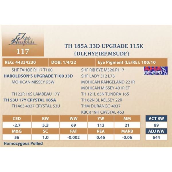 TH 185A 33D UPGRADE 115K